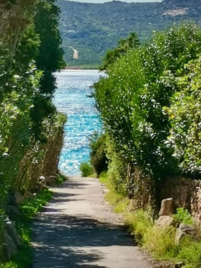Holiday home La Quercia - Capriccioli *